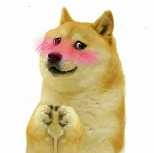 Biểu cảm meme chó Shiba