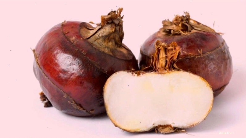 Bột năng và bột bắp có nhiều điểm khác biệt