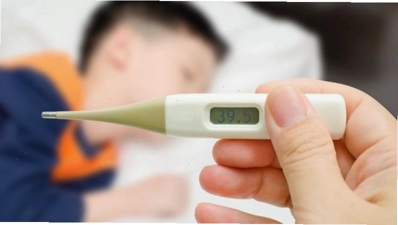 Bột sắn dây có công dụng giải nhiệt, hạ sốt hiệu quả