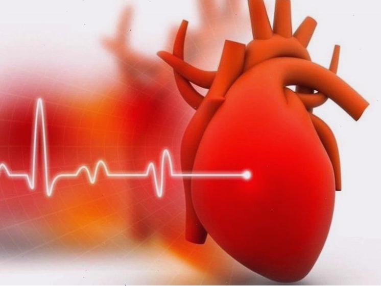 Cá béo ít calo, giàu protein và omega-3 tốt cho tim mạch