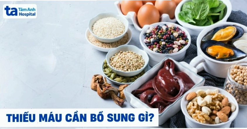 Các loại vi chất cần thiết cho người thiếu máu