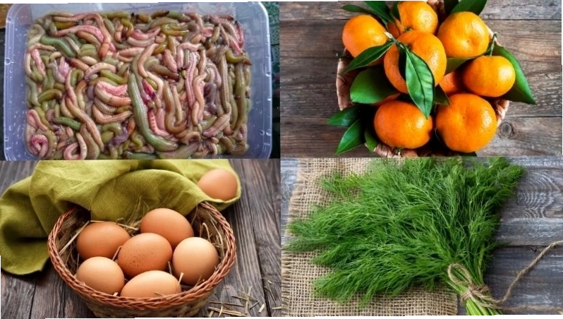 Các nguyên liệu cơ bản để làm chả rươi