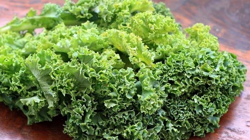 Cải xoăn có chứa nhiều chất dinh dưỡng, bao gồm cả sắt