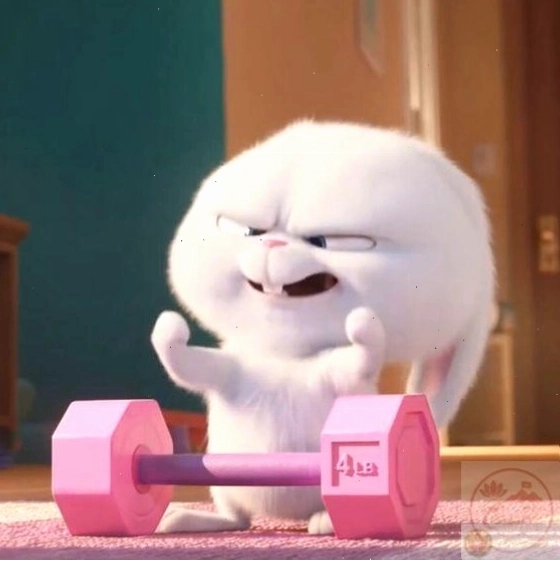 Caption kèm Snowball meme lan tỏa sự hài hước
