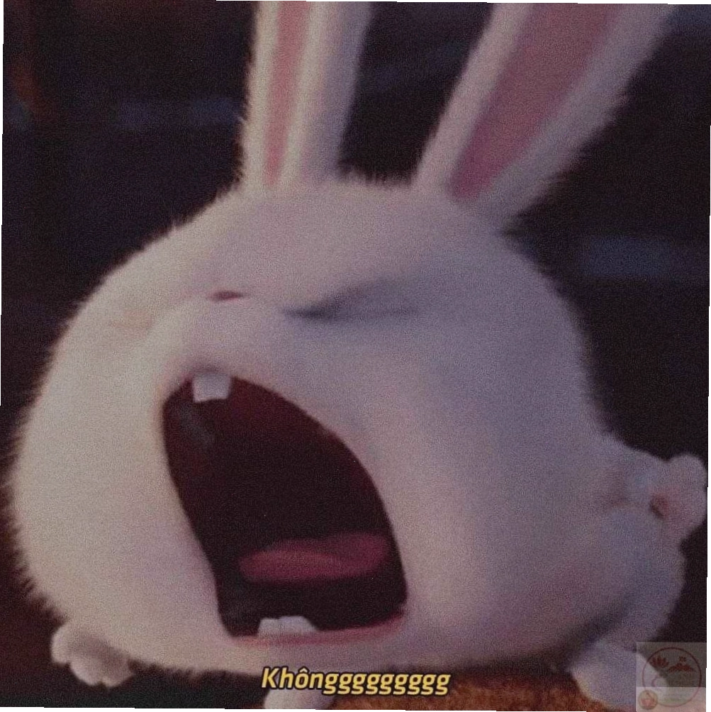Caption ngắn gọn nhưng ý nghĩa của Snowball meme