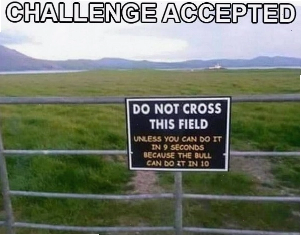 Challenge Accepted Meme Bull