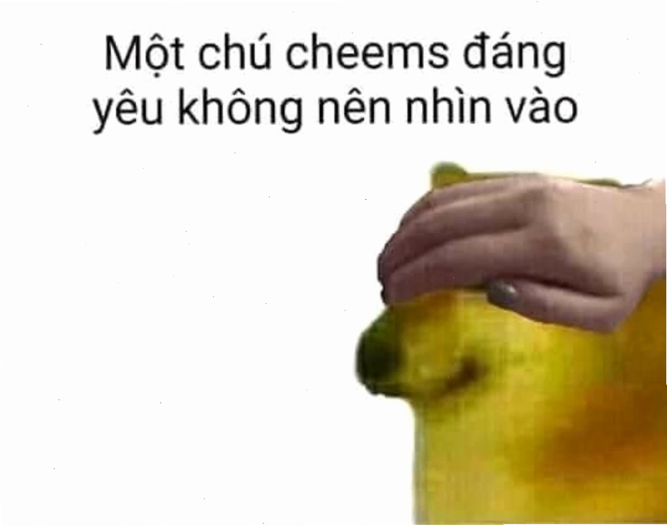 Cheems che mắt thể hiện sự ngạc nhiên hoặc bối rối