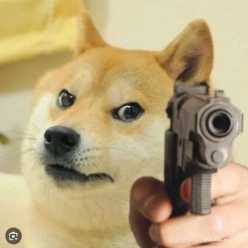 Cheems meme cầm súng đầy phong cách với ánh mắt sắc bén