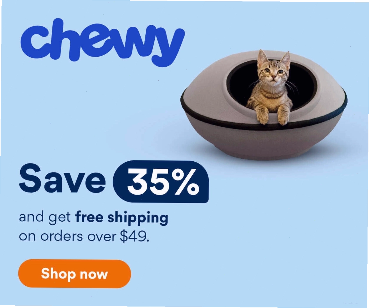 Chú mèo hạnh phúc nhìn ra ngoài cửa sổ trong không khí Giáng Sinh