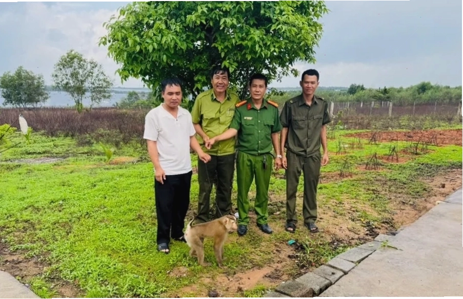 Cơm dừa khô giàu dinh dưỡng
