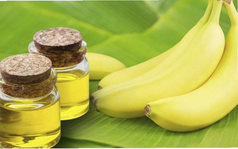 Dầu chuối là gì? Mô tả hợp chất hữu cơ isoamyl acetate
