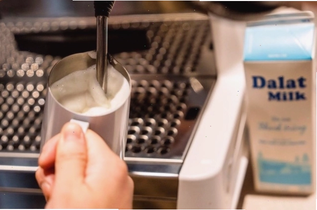Đồ uống từ sữa tươi Dalatmilk