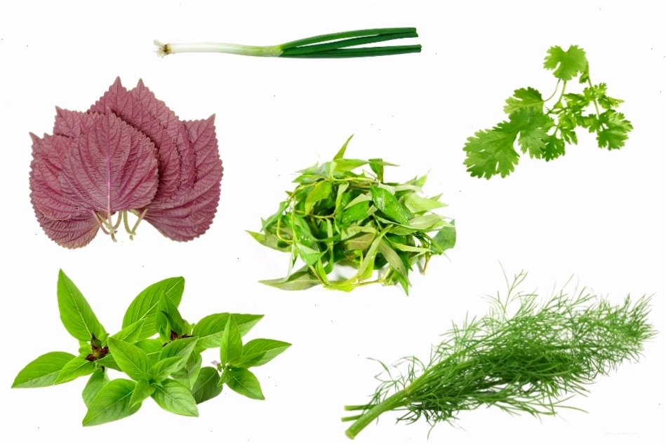 Gia vị dạng lá như húng quế, bạc hà mang lại hương thơm tươi mát cho món ăn