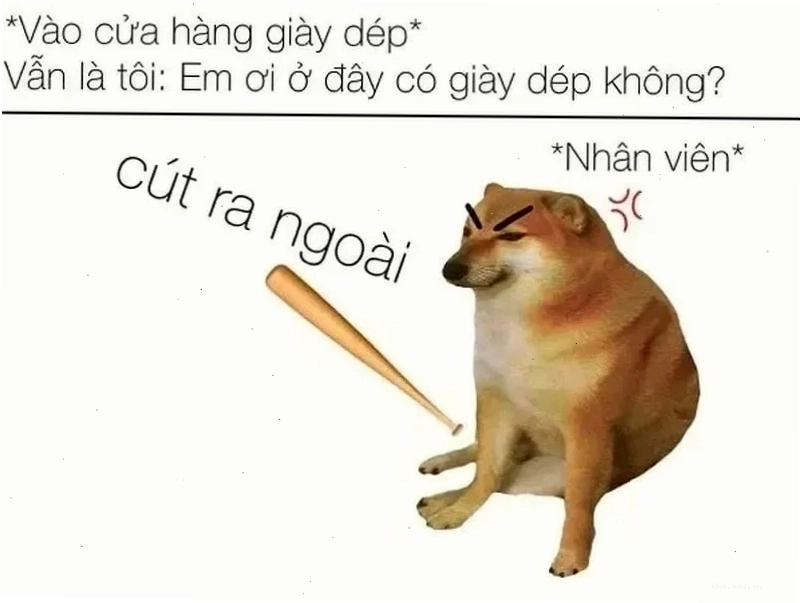 Gợi ý những bức meme cút ngầu