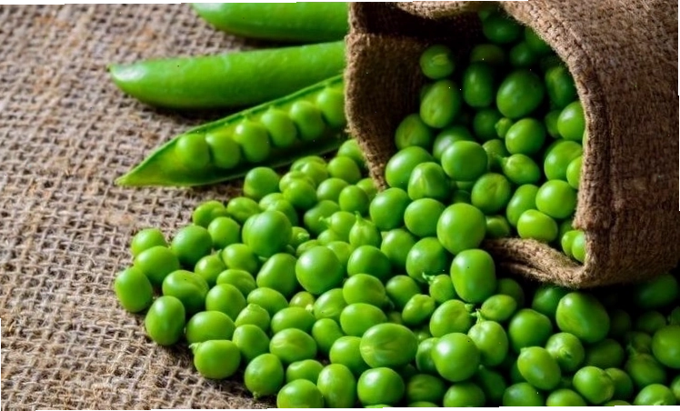 Hàm lượng protein và chất xơ cao trong các loại đậu