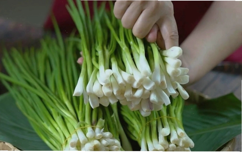 Hành lá với vị cay và thơm nồng, thường dùng để nêm nếm món ăn