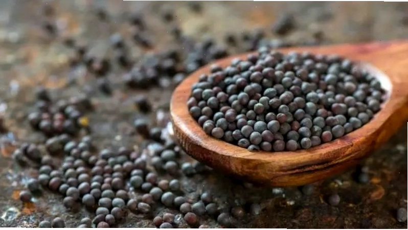 Hạt mù tạt nâu là lựa chọn phổ biến của người Ấn, tạo vị cay nhẹ cho món ăn