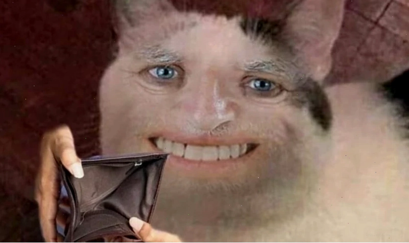 Hình ảnh meme mèo với vẻ mặt hài hước khó tả