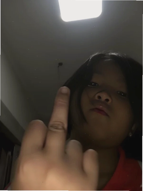 Hình ảnh meme ngón giữa