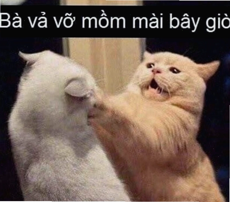 Hình ảnh meme thể hiện sự ngỡ ngàng hoặc khó chịu nhẹ nhàng