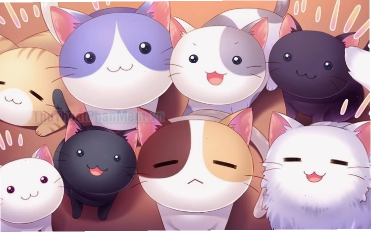 Hình ảnh mèo mập cute với vẻ ngoài đáng yêu và tròn trịa