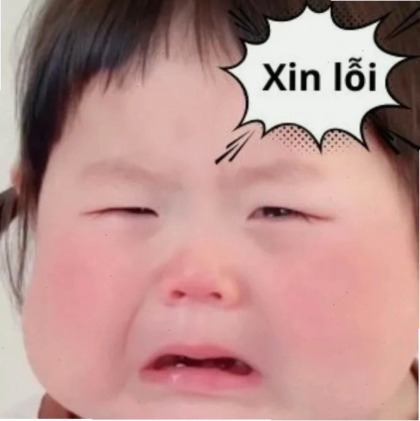 Hình ảnh minh họa cho câu nói viral trên meme