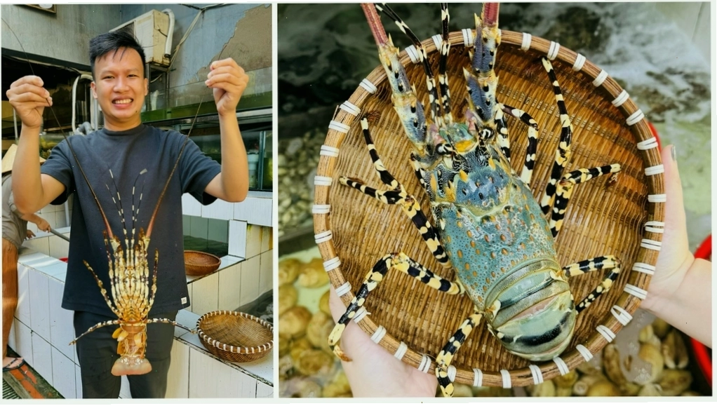 Hình ảnh tôm hùm bông tươi sống tại cửa hàng