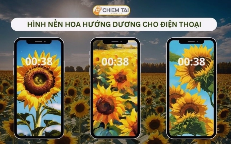 Hình nền hoa hướng dương đẹp cho điện thoại di động