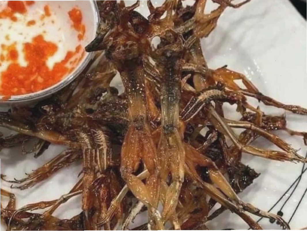 Khô nhái chiên giòn, một món ăn vặt đặc sản Cần Thơ độc đáo