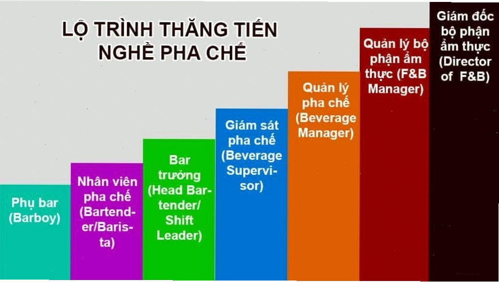 Lộ trình thăng tiến nghề pha chế chuyên nghiệp