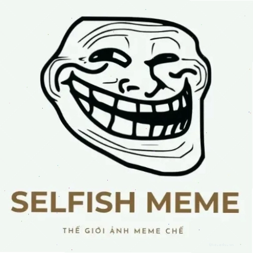 Logo The Selfish Meme