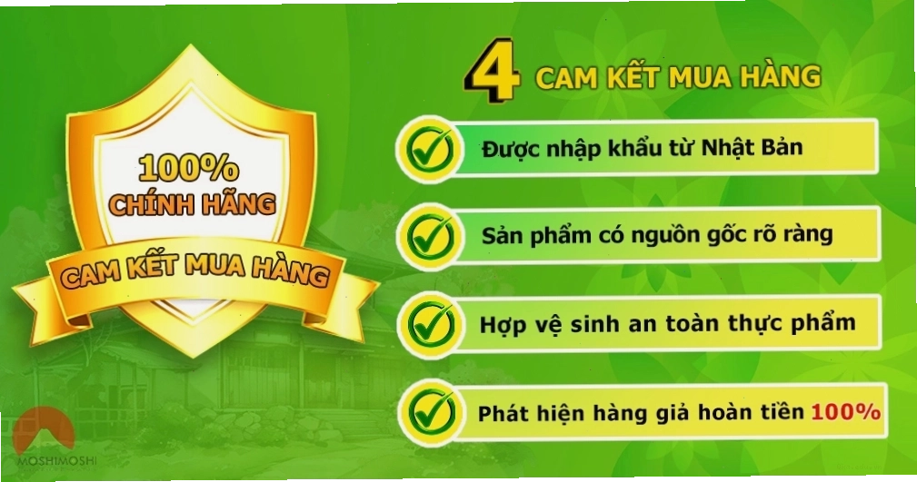 Ly trà xanh Sencha tươi mát - biểu tượng đồ uống Nhật Bản