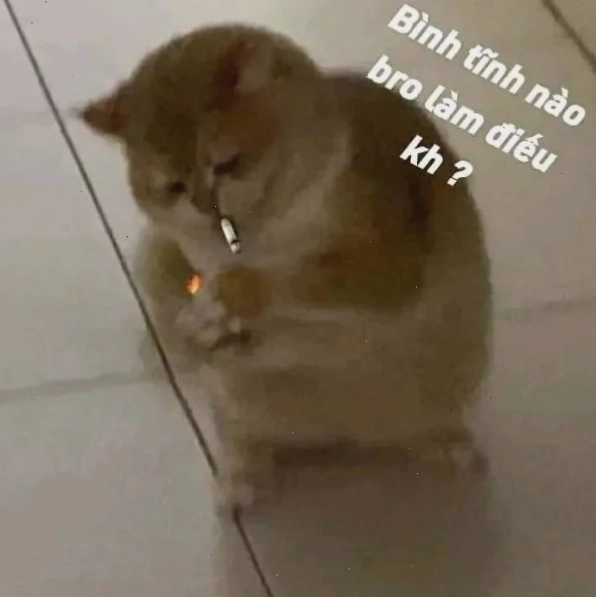 Meme 