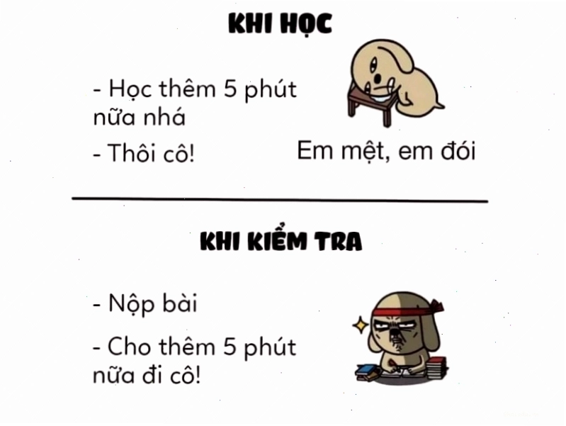 Meme "5 phút khi học và khi kiểm tra" thể hiện sự khác biệt về thái độ