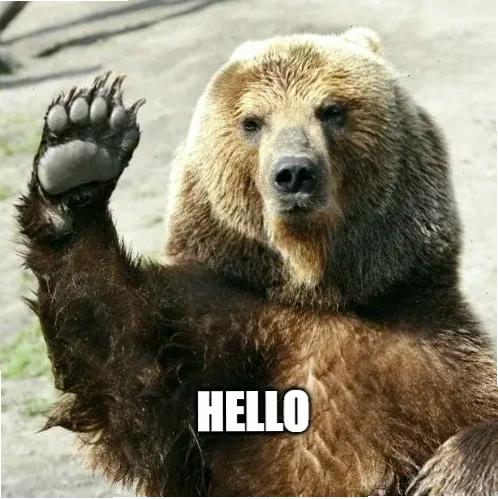 Meme chào hỏi với hình ảnh mèo đáng yêu