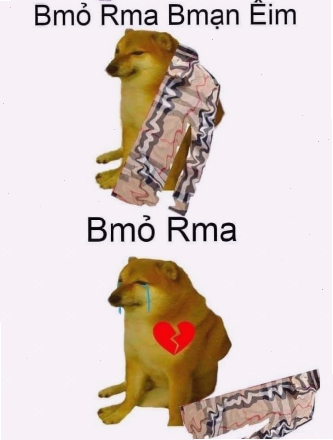 Meme Cheems 