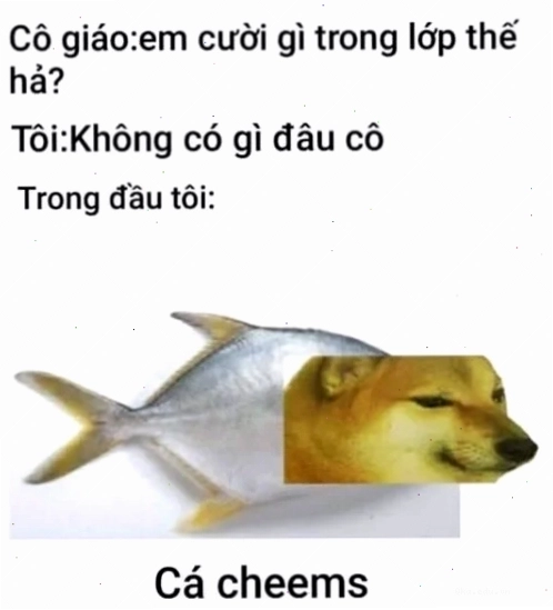 Meme Cheems phiên bản Việt Nam với tình huống hài hước quen thuộc