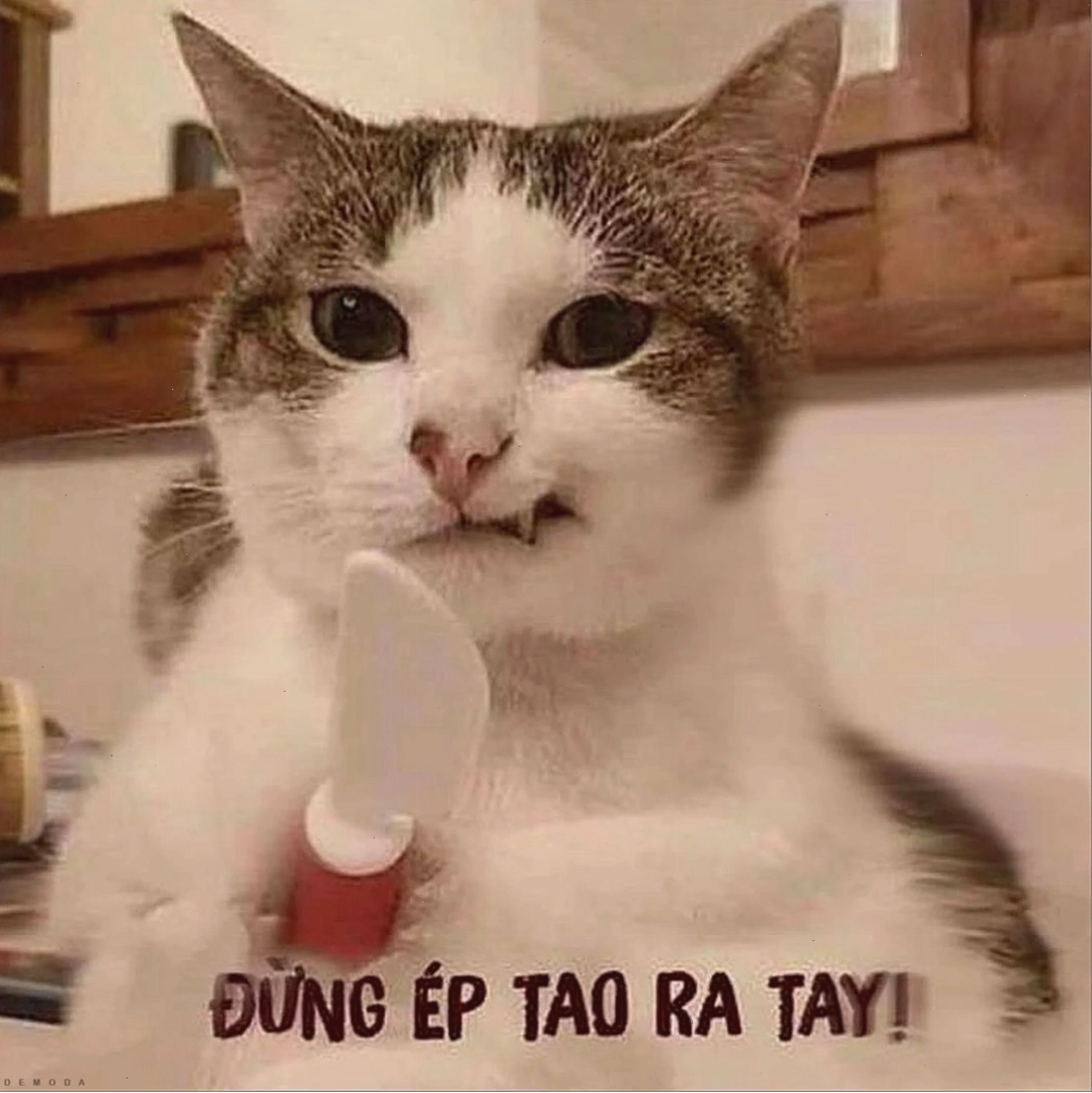 meme chó cầm dao