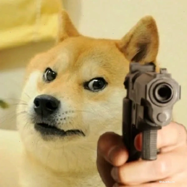 Meme chó Shiba tạo dáng với súng