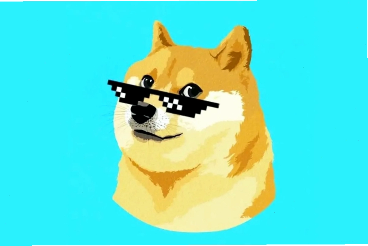 Meme chó Shiba với biểu cảm ấn tượng