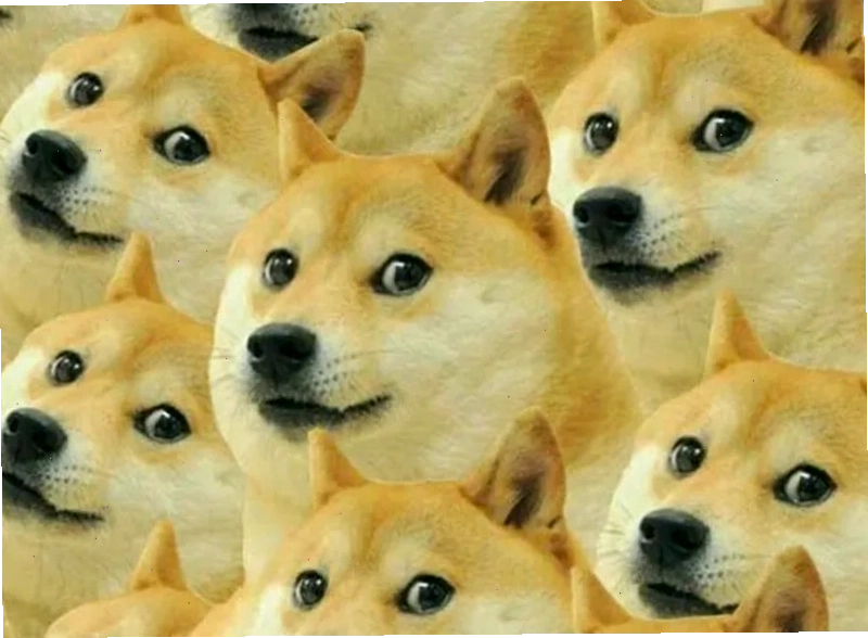 Meme chó Shiba với súng