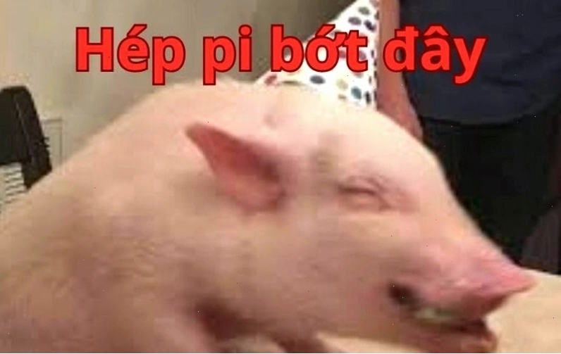 Meme chúc mừng sinh nhật với hình ảnh chú chó đang vui đùa