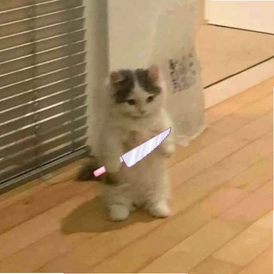 meme con mèo cầm dao với ánh mắt sắc lạnh