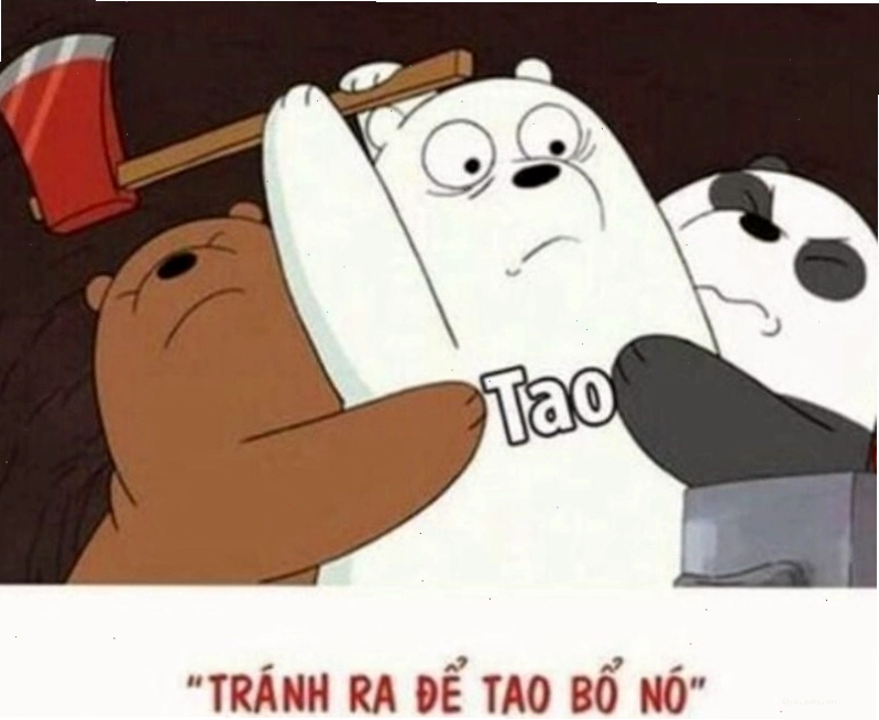 Meme đánh nhau hình ảnh động vật ngộ nghĩnh