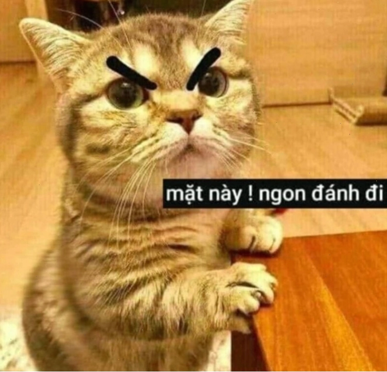 Meme đánh nhau hình động vật với hành động "nhấn" đầy uy lực