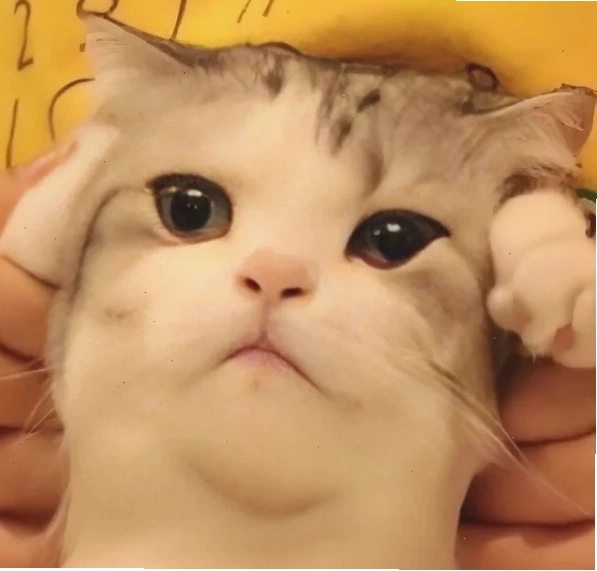 Meme đau đầu với biểu cảm hài hước