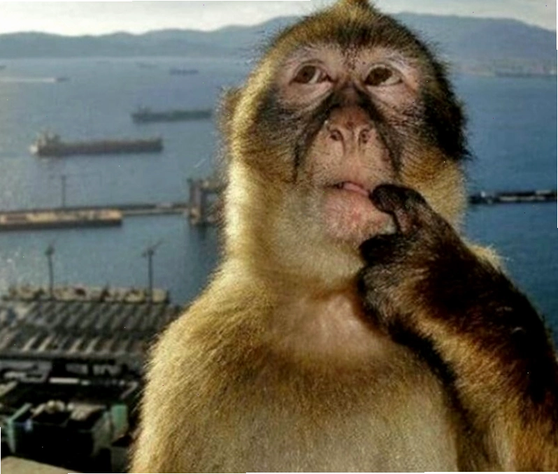 Meme diễn tả sự bối rối khi không biết tối nay ăn gì