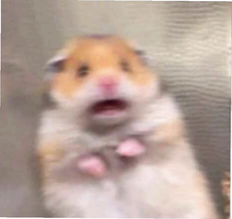 Meme động vật biểu cảm sợ hãi đáng yêu