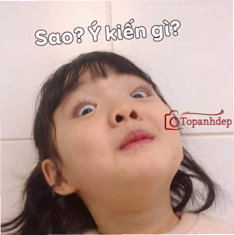 Meme em bé cute hài hước