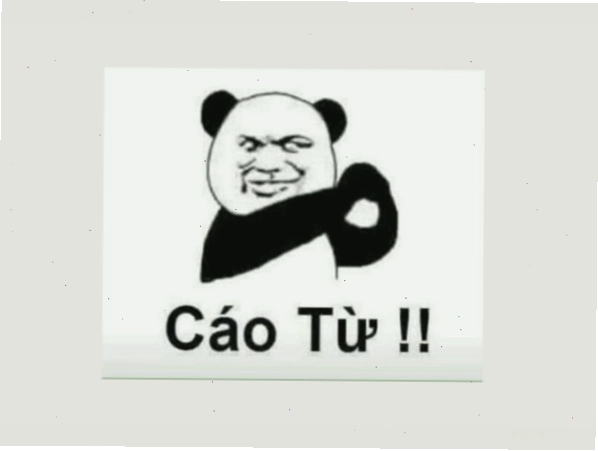 Meme gấu trúc đáng yêu